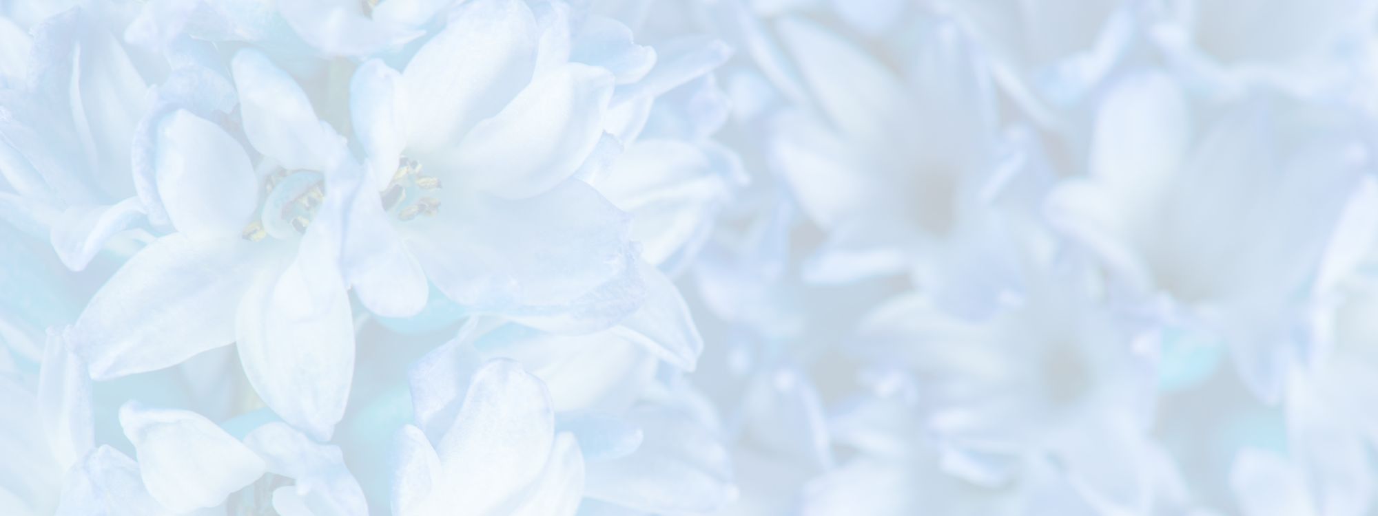 GrandmaSTRONG ‘Strength & Mobility’ 21 Day CHALLENGE