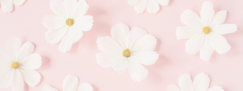 STRONG ZONE-PLUS Membership