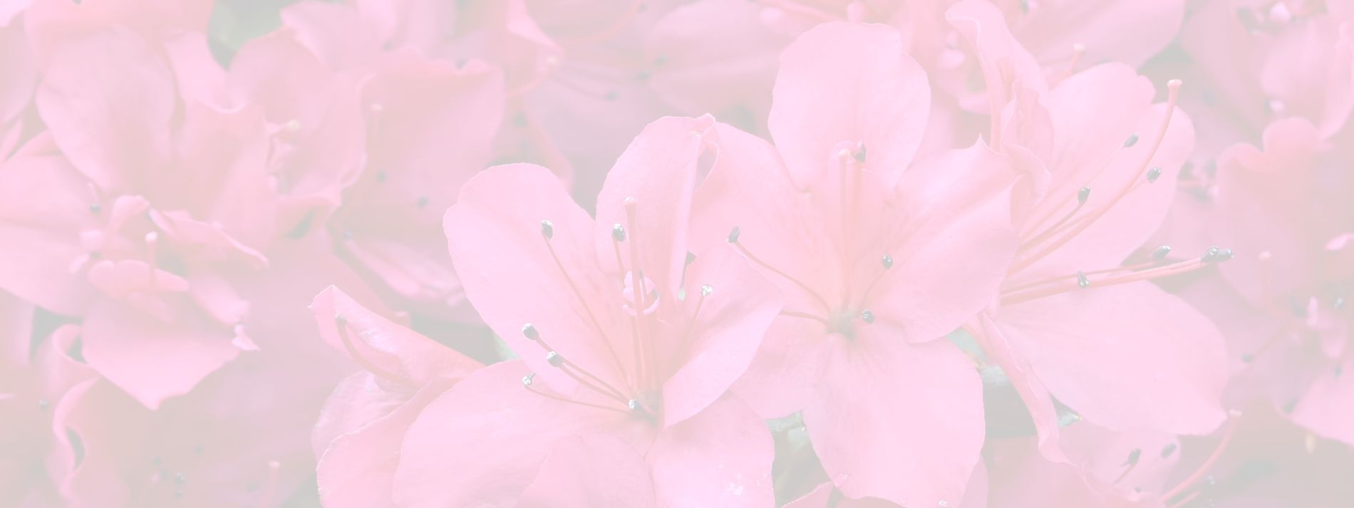 GrandmaSTRONG  ‘Mind Growth & Grit’ 21-Day Challenge